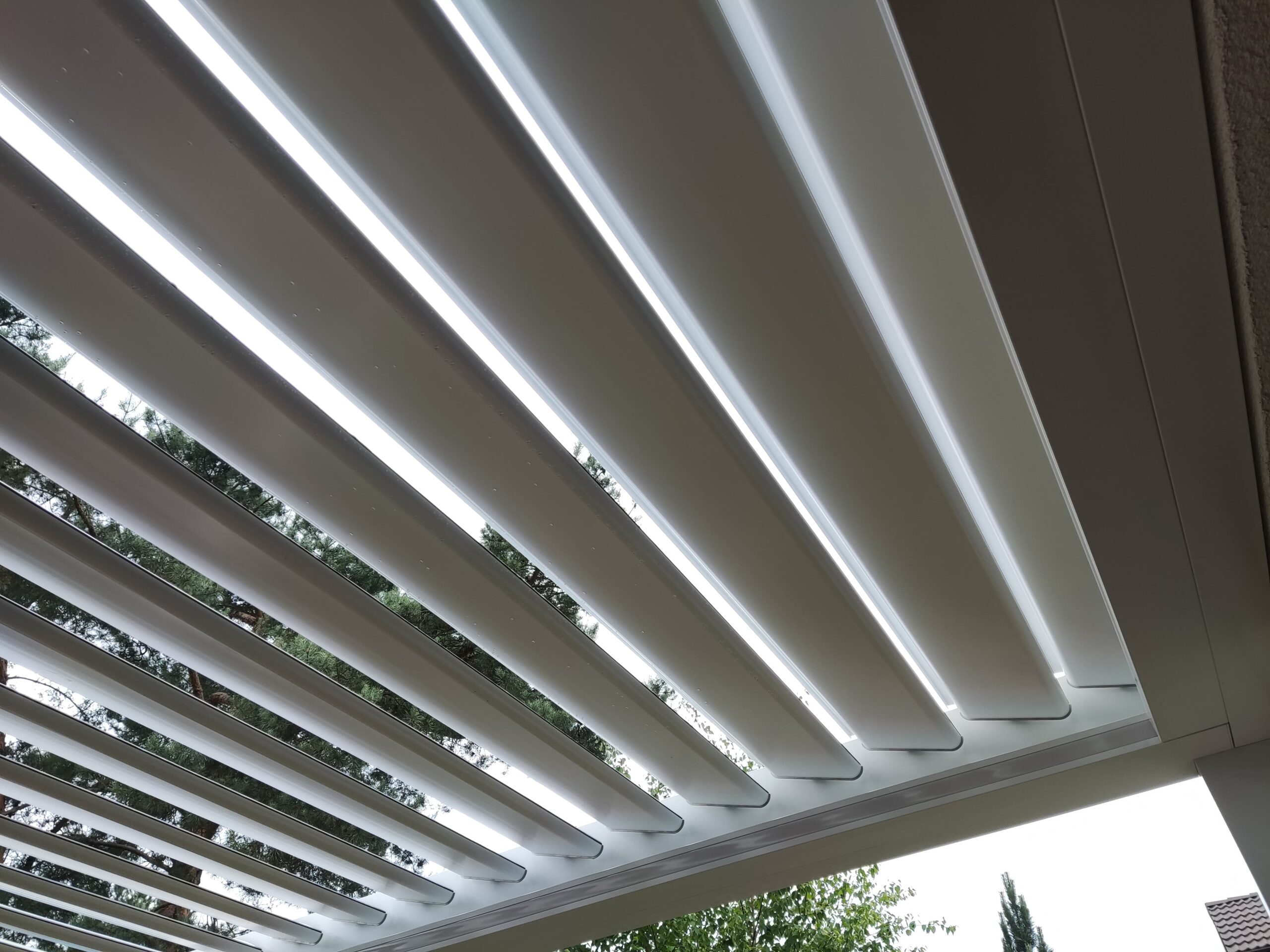 Zdjęcie WhatsApp 2025-06-17 o 15.49.57_5b628f3a